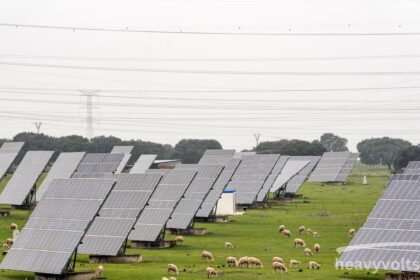 Renogy Solar Panels for Reliable Off-Grid Solar Power