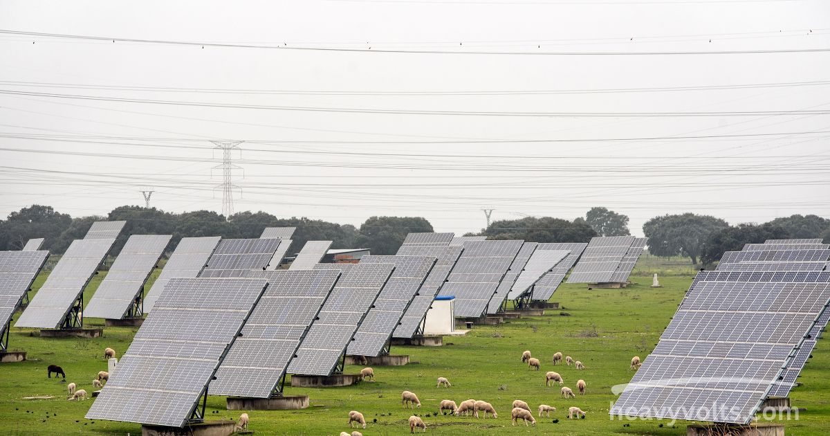 Renogy Solar Panels for Reliable Off-Grid Solar Power