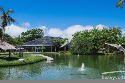Solar pond pump providing efficient water circulation in an outdoor garden pond.