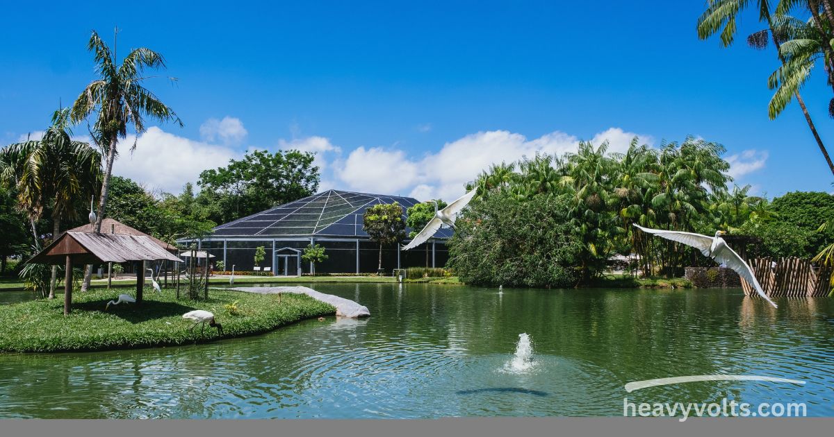 Solar pond pump providing efficient water circulation in an outdoor garden pond.